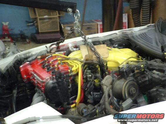 engine bay with engine hoist attached, red and yellow engine components visible
