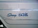 1986 Ford Bronco - Detail of a white vehicle custom "Snoop Deville" lettering and blue pinstripes.