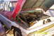 A Chevrolet C/K Pickup from the generation archive