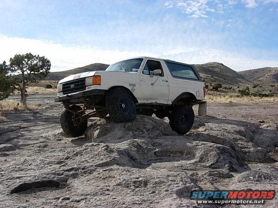 me perched perfectly on a rock showing my flex off