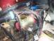 1995 Ford Probe - AWR solid poly mounts
