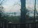1969 Ford Bronco - A hazy view of a landscape seen through a window screen, with trees and water in the distance.