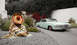 1986 Ford Bronco photo