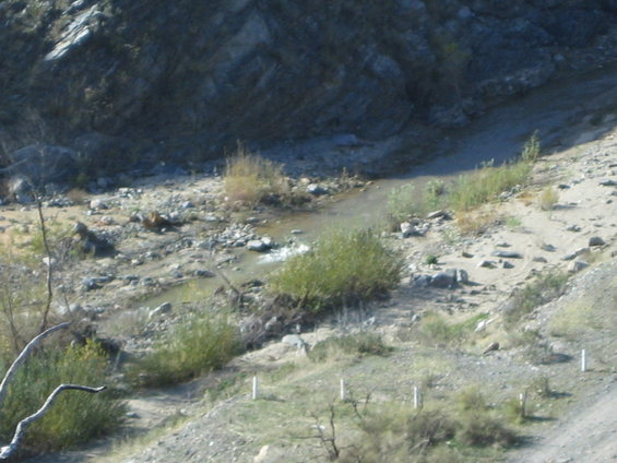 img_1379.jpg 