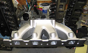 funnelweb9.jpg Parker Funnelweb side view