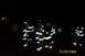 1998 Ford Crown Victoria - Firefighters are seen in their reflective gear at night, with the date 01/05/2006 visible in the lower right corner.