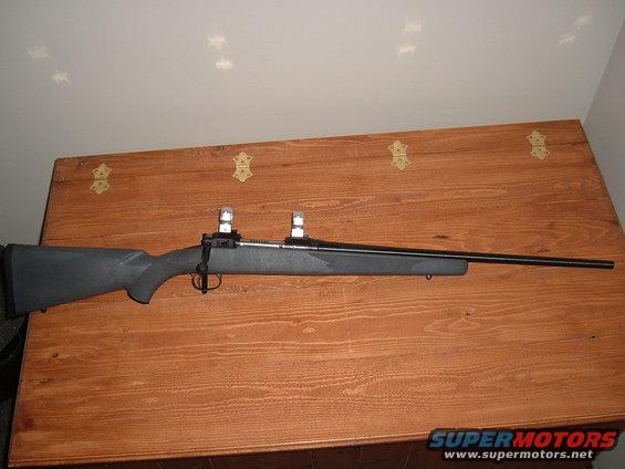 Stevens 200 
243 Winchester