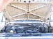 1985 Ford F-150 - Open wide and say Awww!