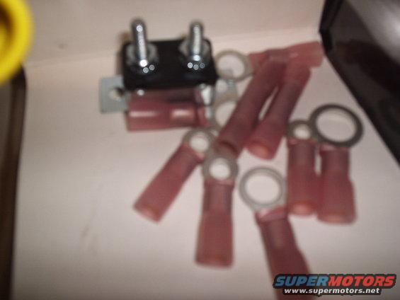 Electrical terminals and a fuse holder