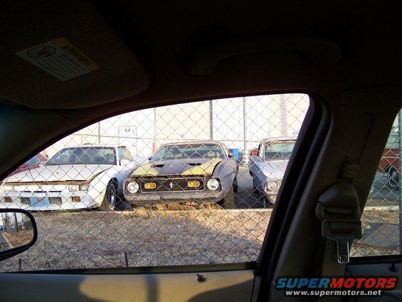 100_0050.jpg 