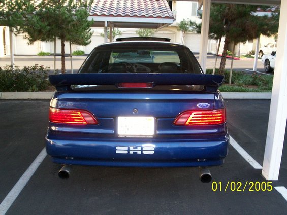 picture5.jpg 
