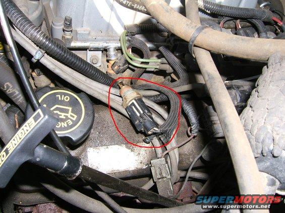 Engine sensor with wiring harness and oil cap
