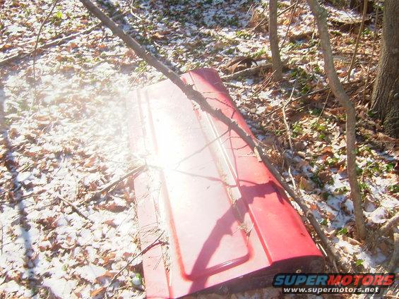 red car door lying on ground in woods, covered in leaves and some snow