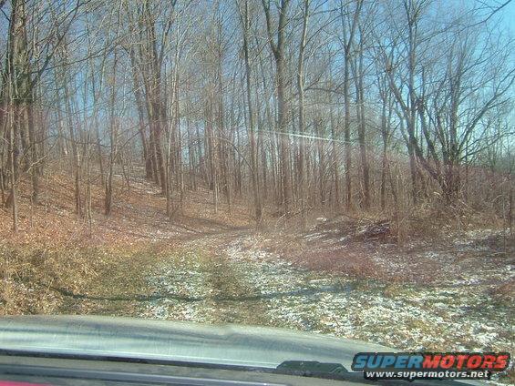 Wooded hillside with bare trees, patches of snow, and dry leaves on the ground. Part of a car's dashboard is visible in the foreground