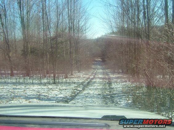 Dashboard view of snowy forest road, Supermotors logo visible