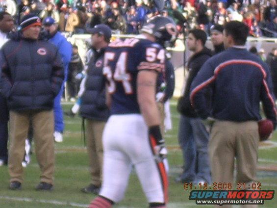 bears-v-panthers-11506-(69).jpg 