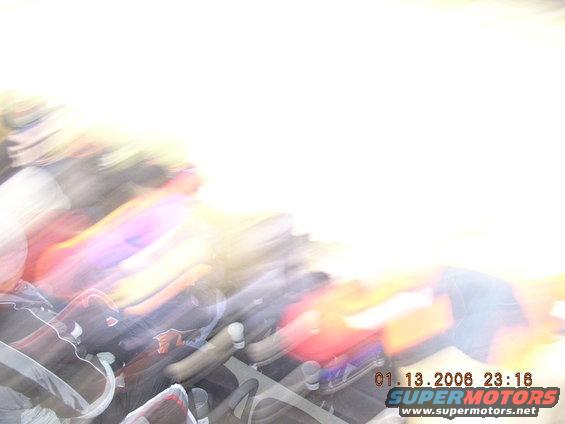 bears-v-panthers-11506-(80).jpg 