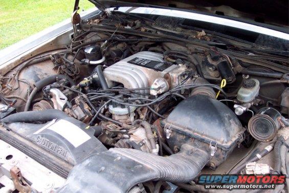 Engine bay with V8 engine and air intake system