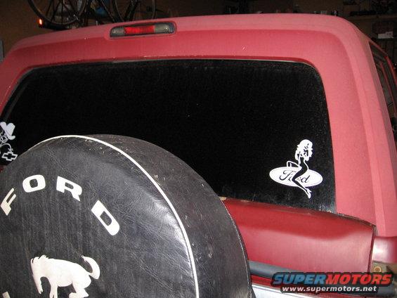 rear window in, with 5% tint!