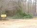 1999 Honda RANCHER - Two signs indicate trailheads for Wolf Pen Gap and Caney Creek in a forest setting.
