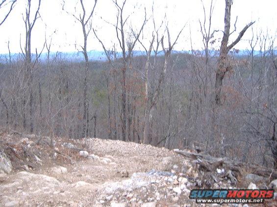 Wooded hillside with bare trees and a rocky, uneven path leading uphill. Distant hills are visible