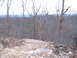 1999 Honda RANCHER - A view of a wooded hillside with a rocky path, suggesting an off-road or remote location.