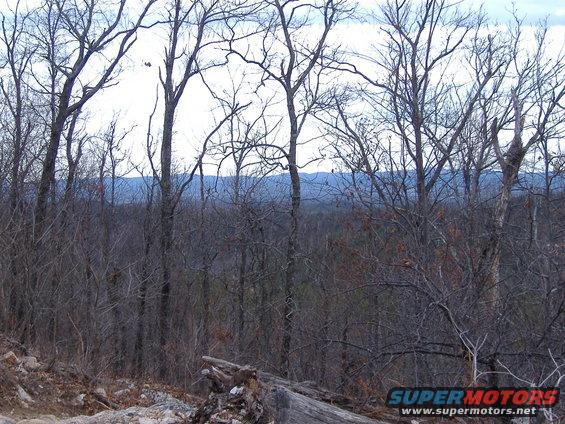 Bare trees in foreground with distant hills under a cloudy sky