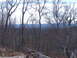 1999 Honda RANCHER - Winter scene with bare trees and a distant mountain range.