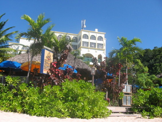 Beachside building with arched windows, palm trees, and lush green foliage in front