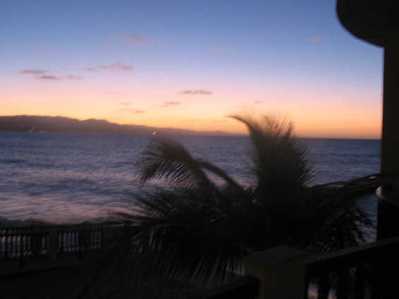 Ocean sunset with silhouetted palm tree and distant mountains