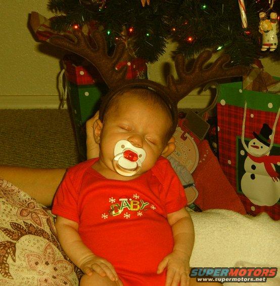 antlers