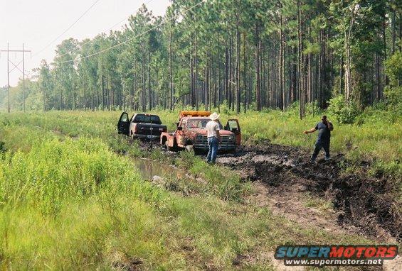 right before i snatched the tow truck out.  1 ton ford, worn out 460, 35x15.50 mickey thompsons.  he ran out of gas on the way out of the property, pulled him through 4 small mud holes.  