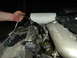 1993 Ford Taurus - Someone is working on the engine, possibly changing oil or a filter.