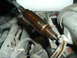 1993 Ford Taurus - A spark plug heavily coated in oil suggests an engine issue, not a specific model year.