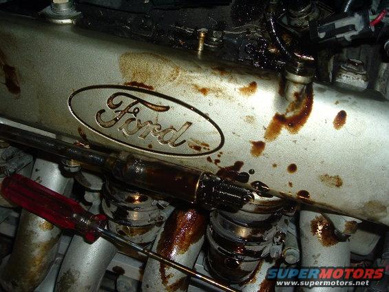 Ford oval logo on engine part covered in oil, with a screwdriver nearby