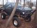 1995 Toyota Tacoma - Modified 1995 Toyota Tacoma pickup truck with custom off-road features and a flatbed, partially obscured by a tree.