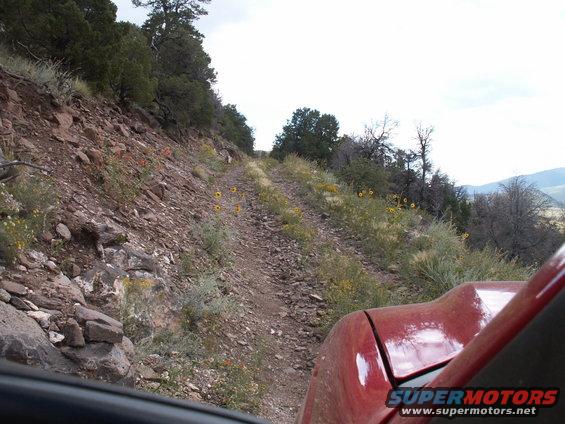 New Mexico