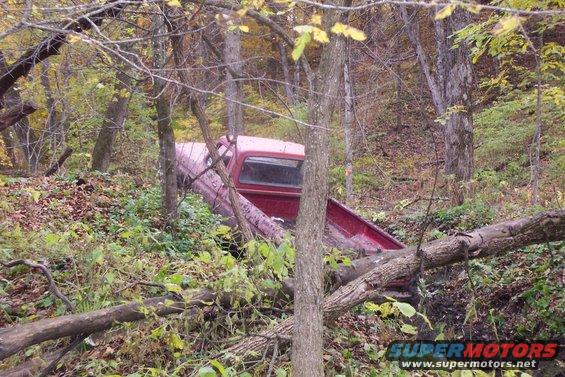 Red 1973 Ford F-250 pickup truck partially obscured by trees and fallen logs