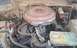 1967 Ford Bronco - Heres one of the motor, what a mess.