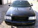 2001 Ford Crown Victoria - A black sedan is parked outside a garage on a sunny day, with tree branches reflected on its hood.