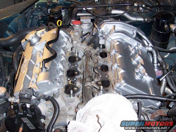 pgt-pics-002.jpg 
