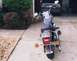 2006 Harley-Davidson Softail - Rear view of the bike (you'll be seeing a lot of this)