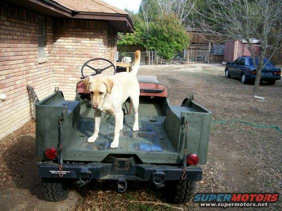 CJ2A rear and my dog Tarzan in the back