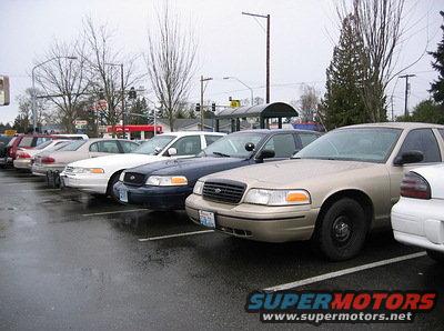 Several police sedans parked in a lot, including a tan Ford Crown Victoria in the foreground