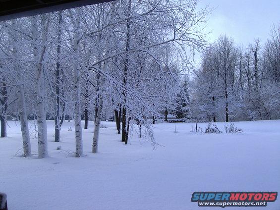 Snow covers the ground and trees in a winter scene. A watermark says "SUPERMOTORS www.supermotors.net"