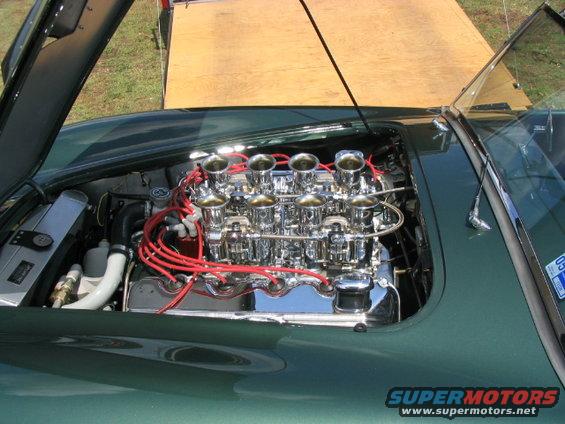 427 SOHC Cobra.  Not mine.  Just cool.  Saw it at Hallet, summer 05.