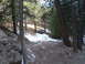 1993 Ford Bronco - A dark SUV navigates a snowy path through a dense forest.