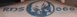 1995 Chevrolet Impala - A tattoo displays a skull emblem with the text RDS and the number 666.