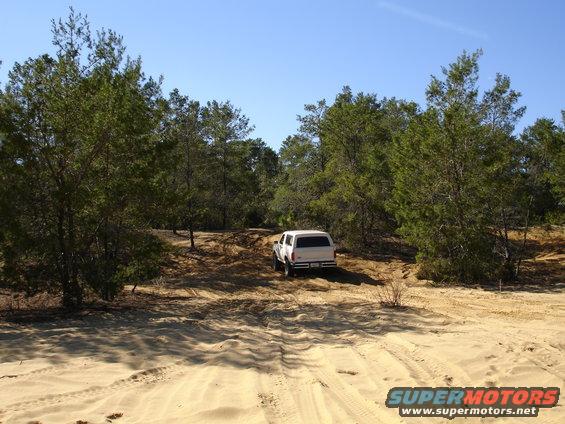White SUV on sandy trail surrounded by trees
