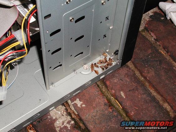 pc180977.jpg ewwwwwww...